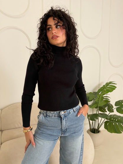 Ribbed Knit Turtleneck Sweater