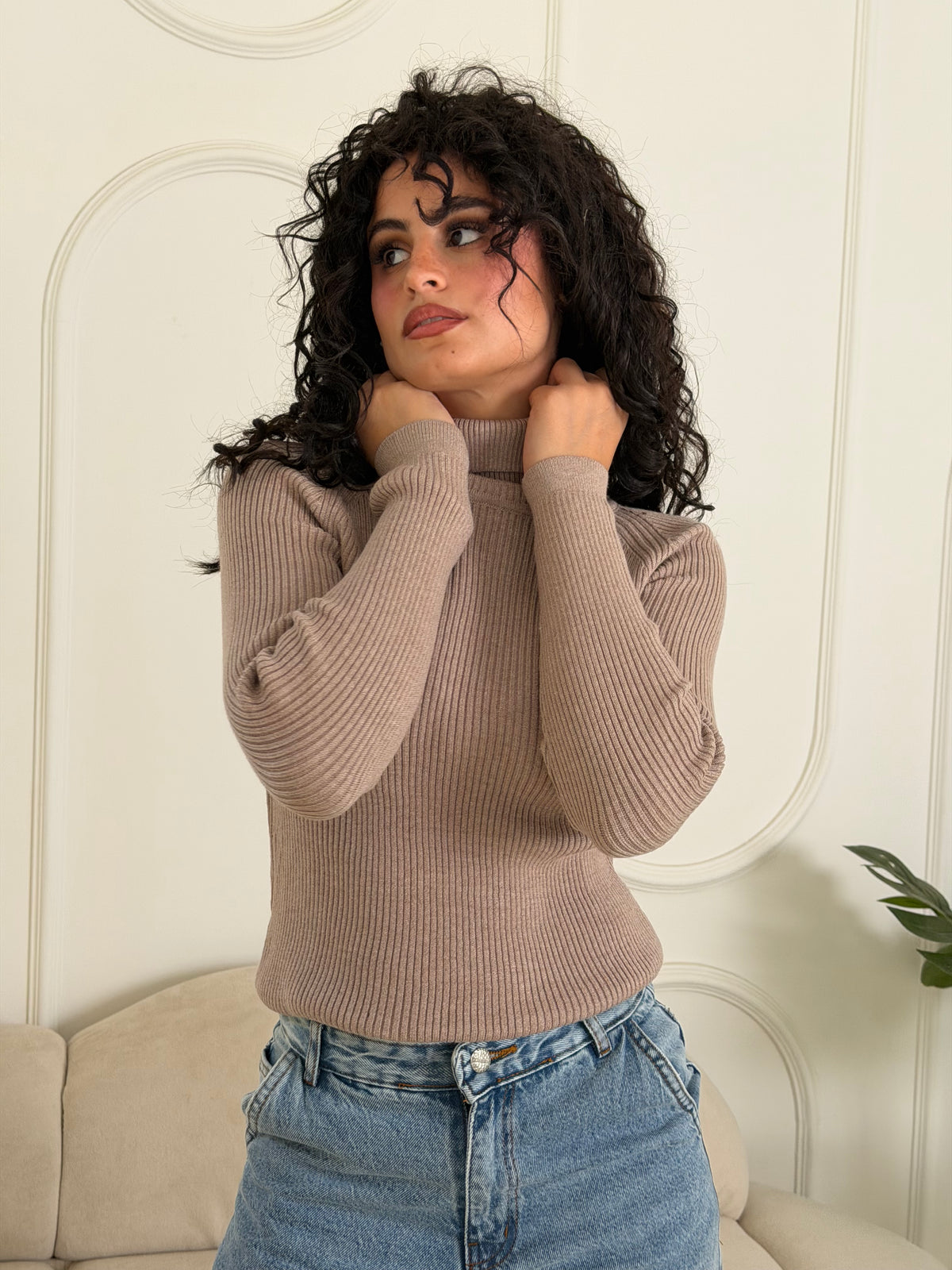 Ribbed Knit Turtleneck Sweater