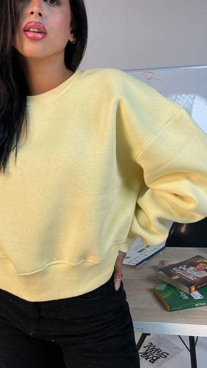 Blush Crop Sweatshirt