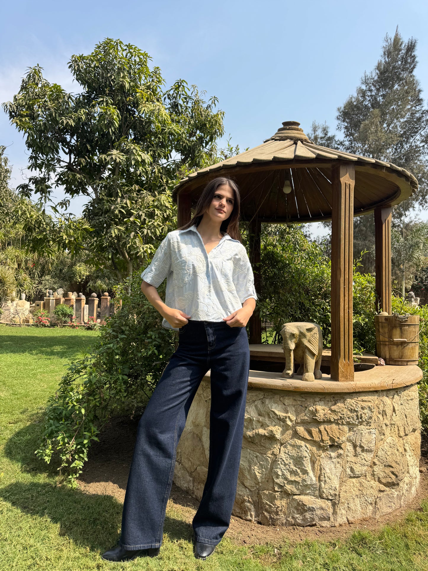 Paisley Striped Shirt