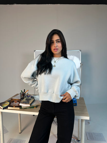 Blush Crop Sweatshirt