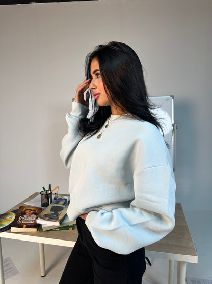 Blush Crop Sweatshirt