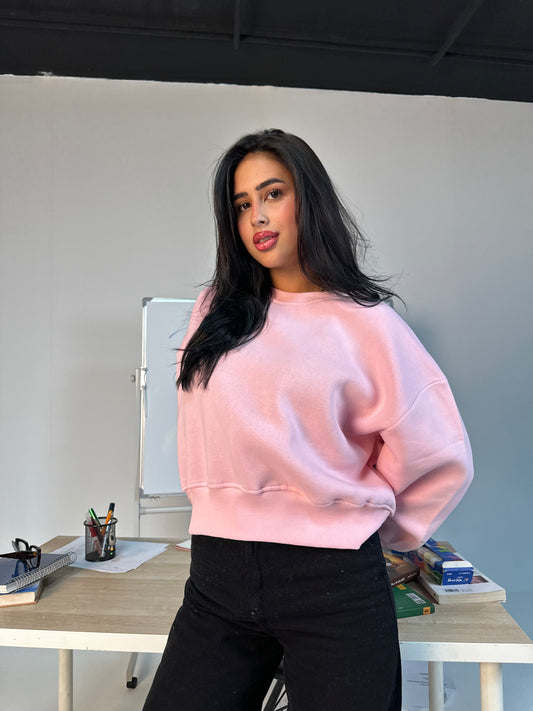 Blush Crop Sweatshirt